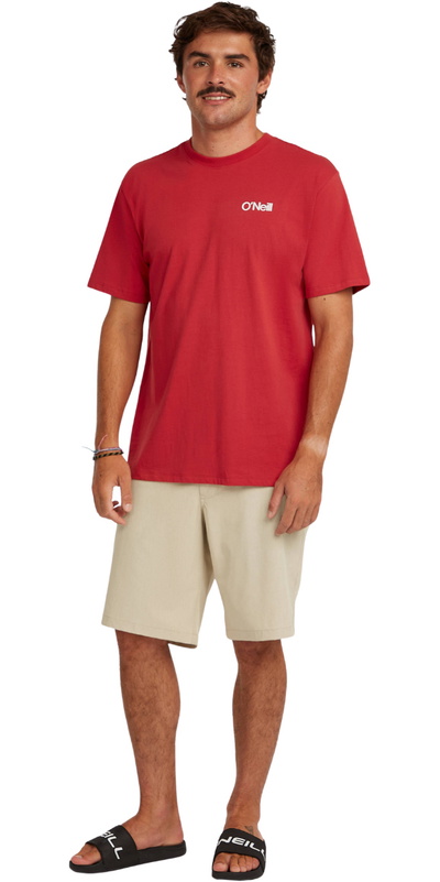 O'Neill Mens Hybrid 19" Melange Shorts