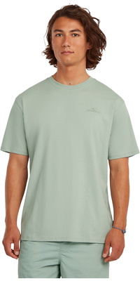 2026 ONeill Mens Small Logo T-shirt 2850371 - Marble Arch