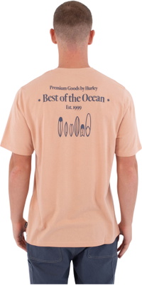 2026 Hurley Mens Printing Press Biriri T-shirt MTSEUED0002619 - Beach Clay